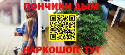 бошки Дубна