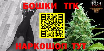 бошки Дубна