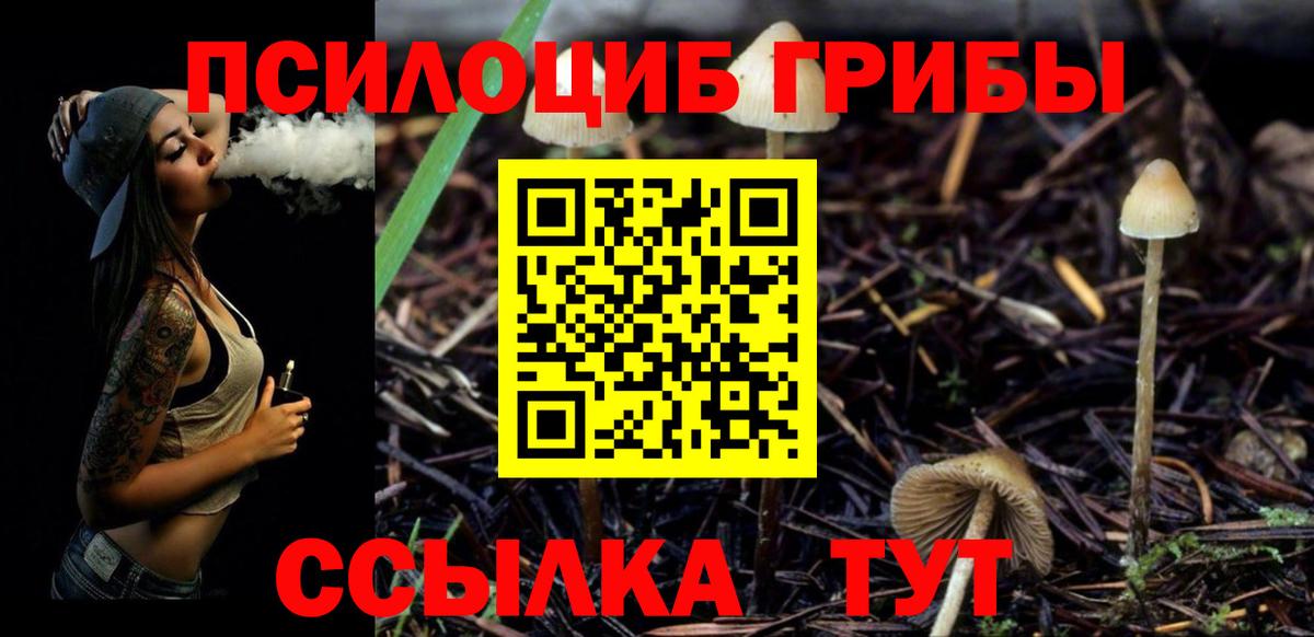 Галлюциногенные грибы Magic Shrooms Елизово
