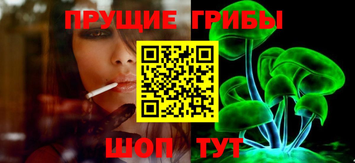 Елизово  Псилоцибиновые грибы MAGIC MUSHROOMS  Вход с VPN 